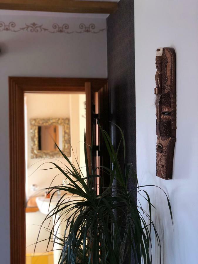 Das Crocodill Pāvilosta Exteriér fotografie